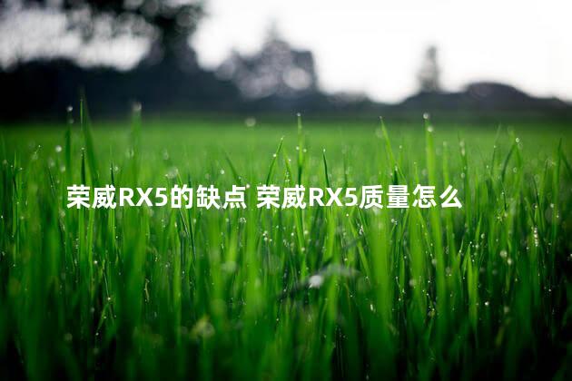 荣威RX5的缺点 荣威RX5质量怎么样